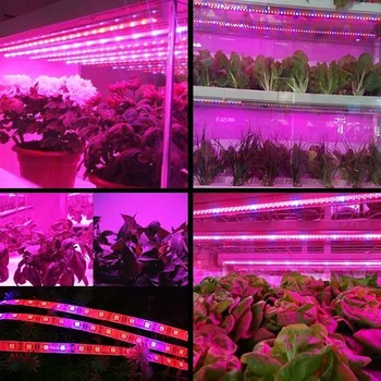 5v usb 5m rast rastlín svetelné pásy Rásť Svetlá pre Izbové Rastliny celé Spektrum,80 Led Svetla pre Rastliny Izbové Rastliny
